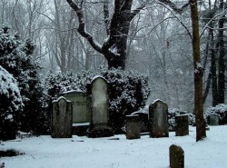 The graves in Bullwinkle's Corner